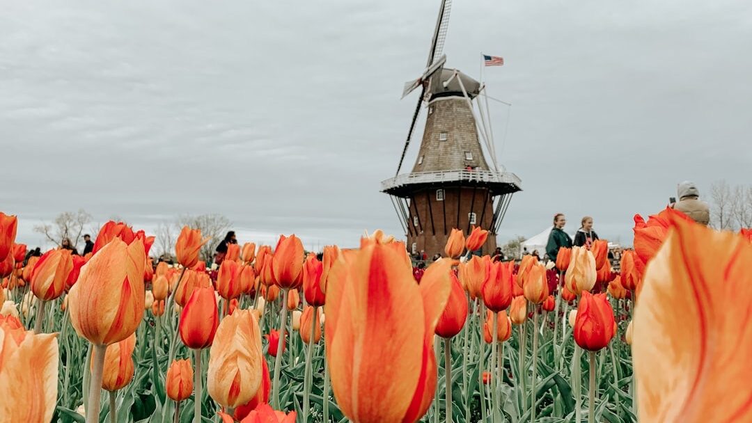 Ein Stück Holland mitten in Bruchmühlen